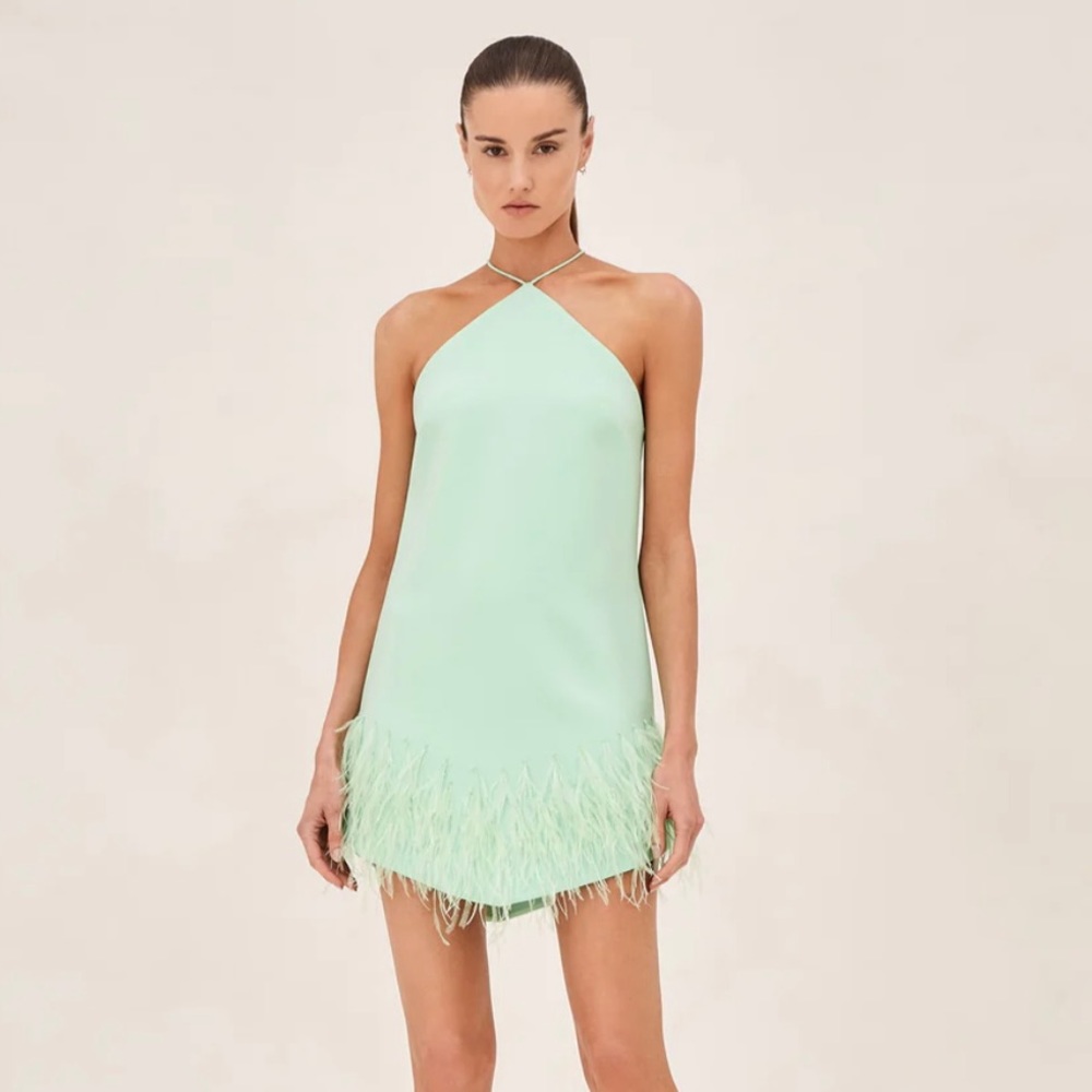 Alexis Bristal Dress